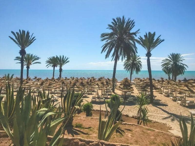 Royal Karthago Resort & Thalasso — Djerba — photo 3